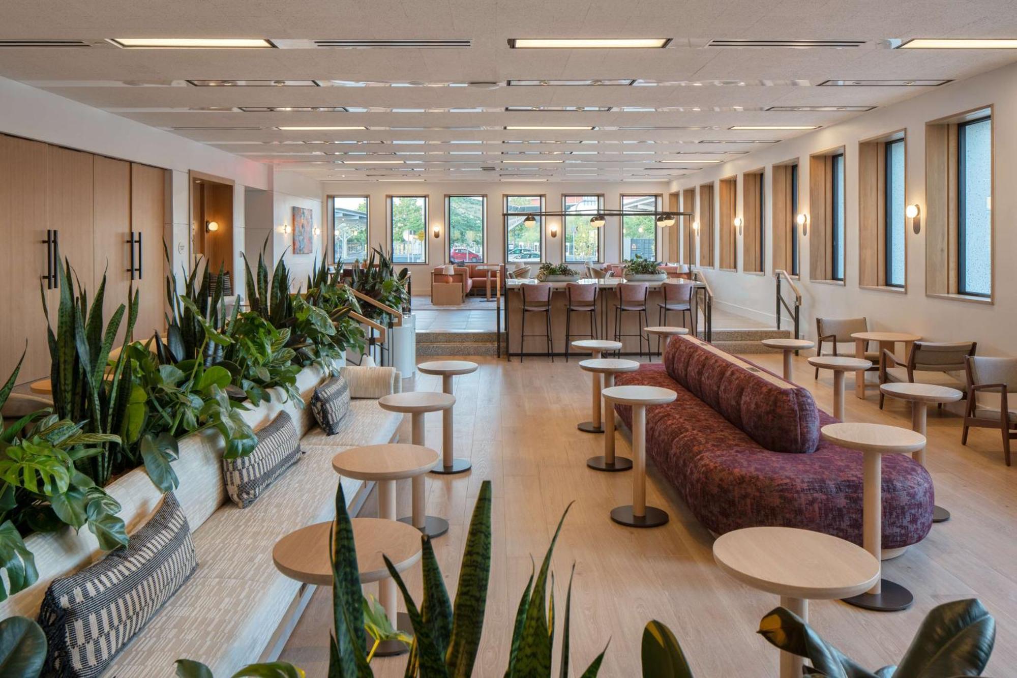 Hotel Marcel New Haven, Tapestry Collection By Hilton Buitenkant foto